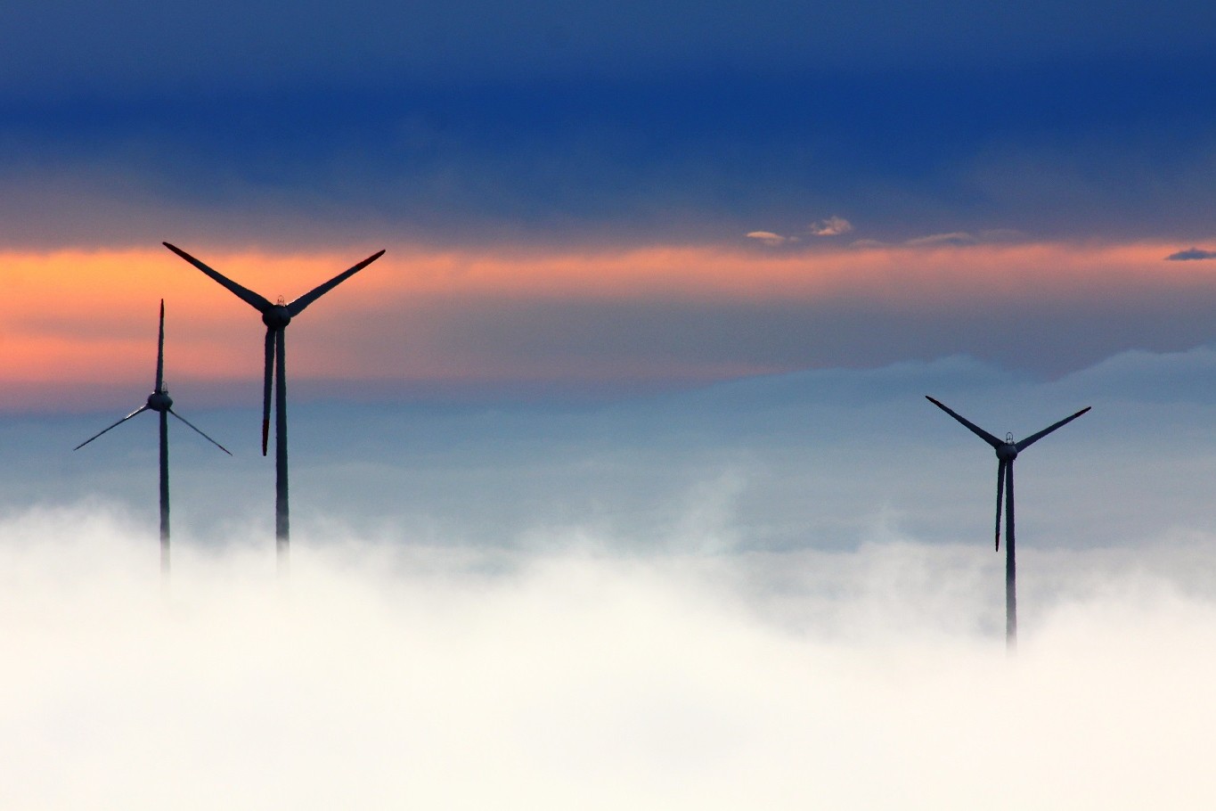 Turbine eoliene (Foto: pexels-pixabay)
