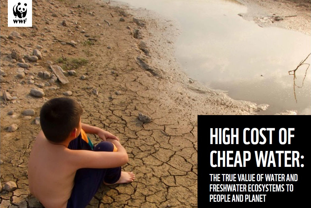 WWF-High Cost of Cheap Water