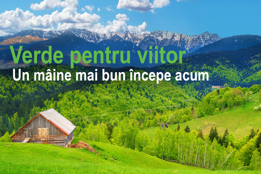 Verde pentru Viitor