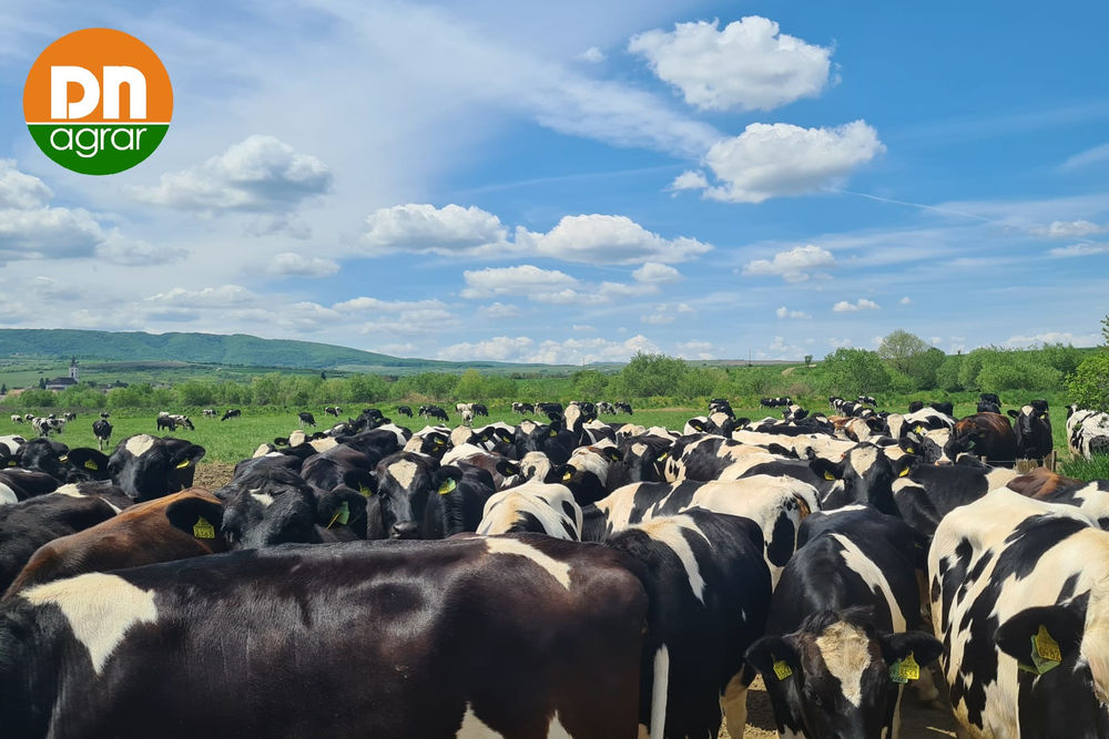 DN-AGRAR_ferme