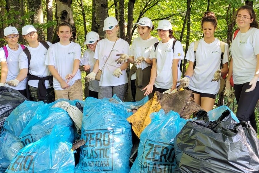 Patrula Zero Plastic