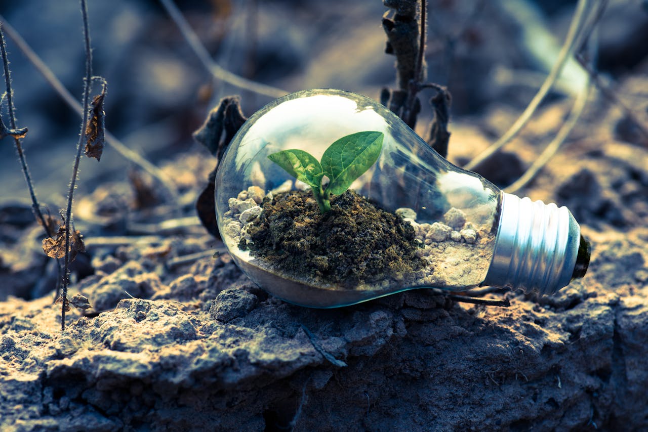 Foto: Pexels-singkham-178541-1108572
