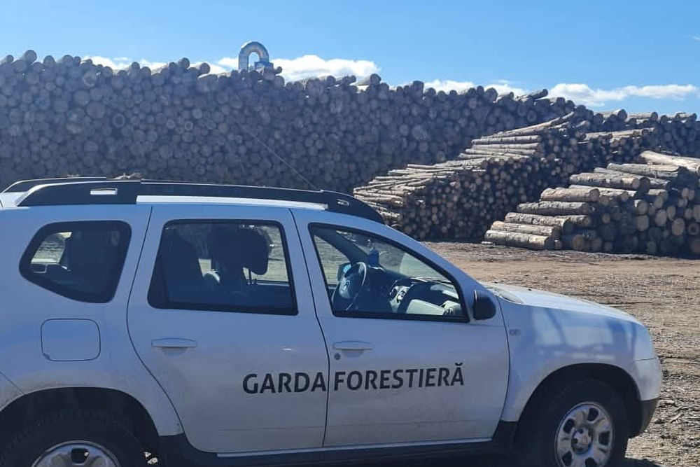 garda forestiera