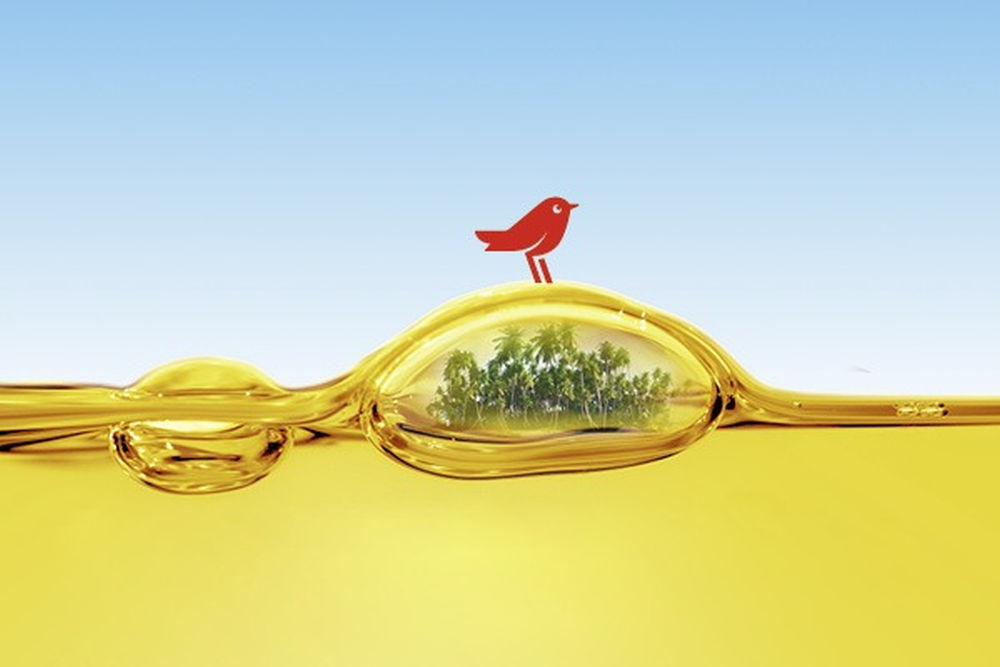 Auchan - program colectare ulei