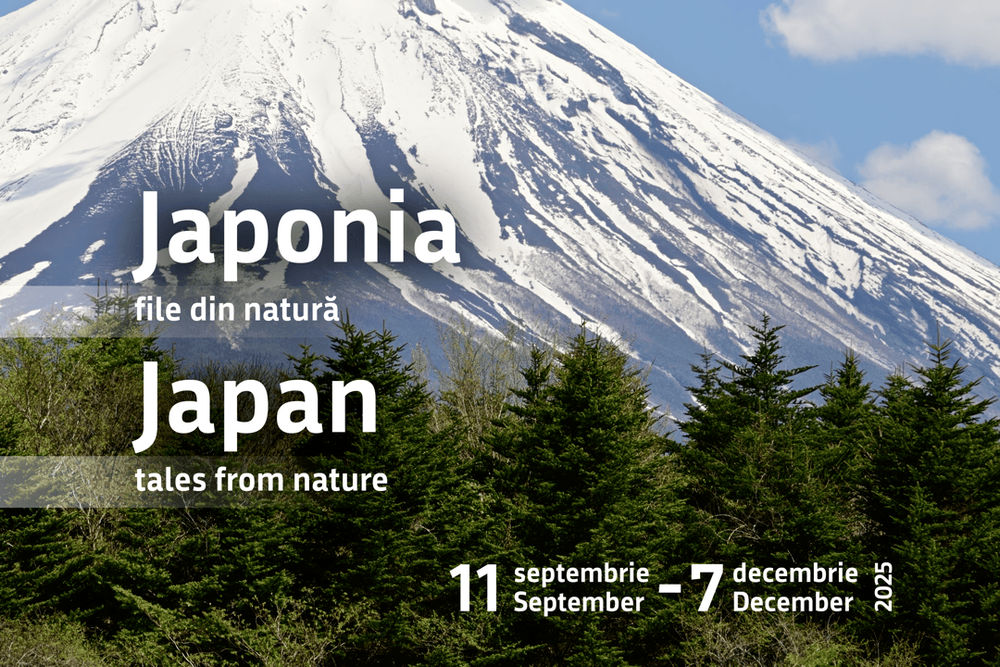 muzeul antipa_expozitie-japonia_2025