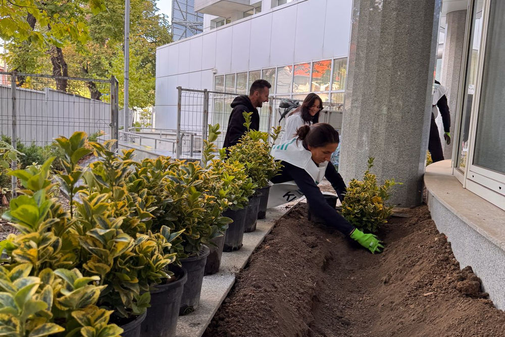 Klarwin Dăruiește Aripi Spital „Dr. Victor Gomoiu” 2025