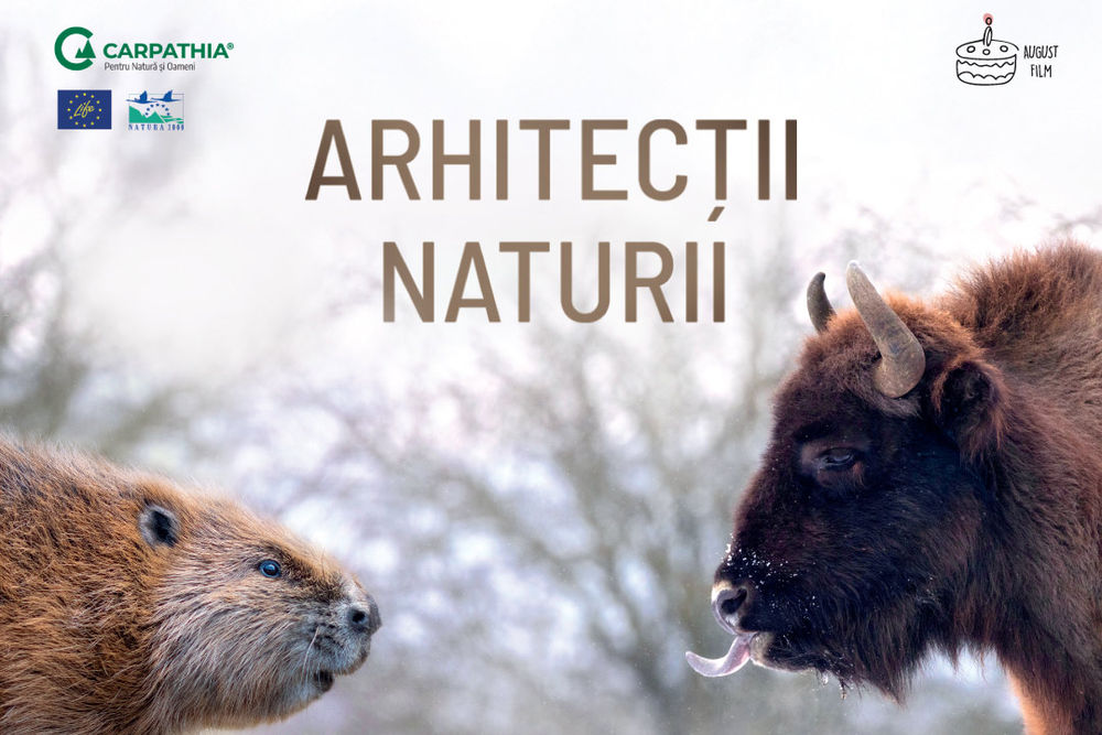 documentar Arhitecții Naturii dan dinu 2025