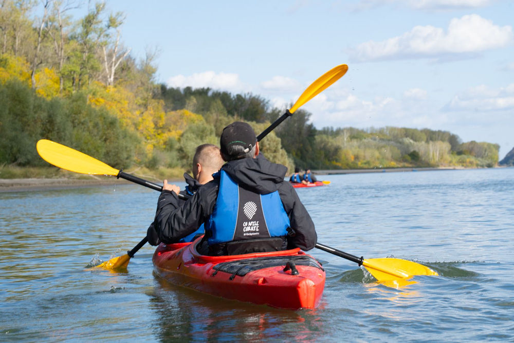 via danubiana 2025 mai mult verde