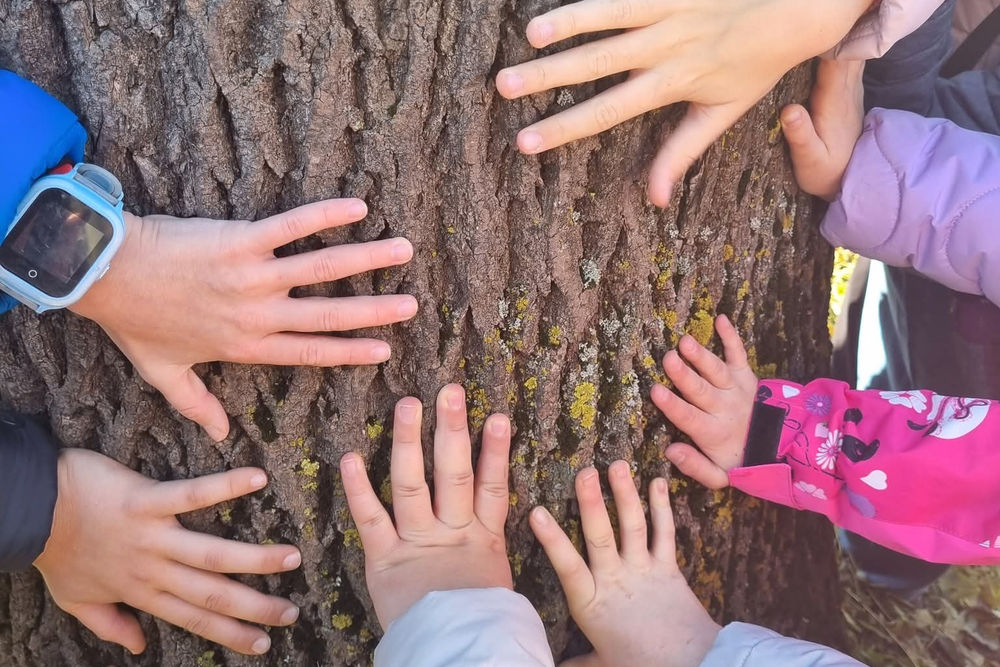 Fundația PRAIS Proiect PACT