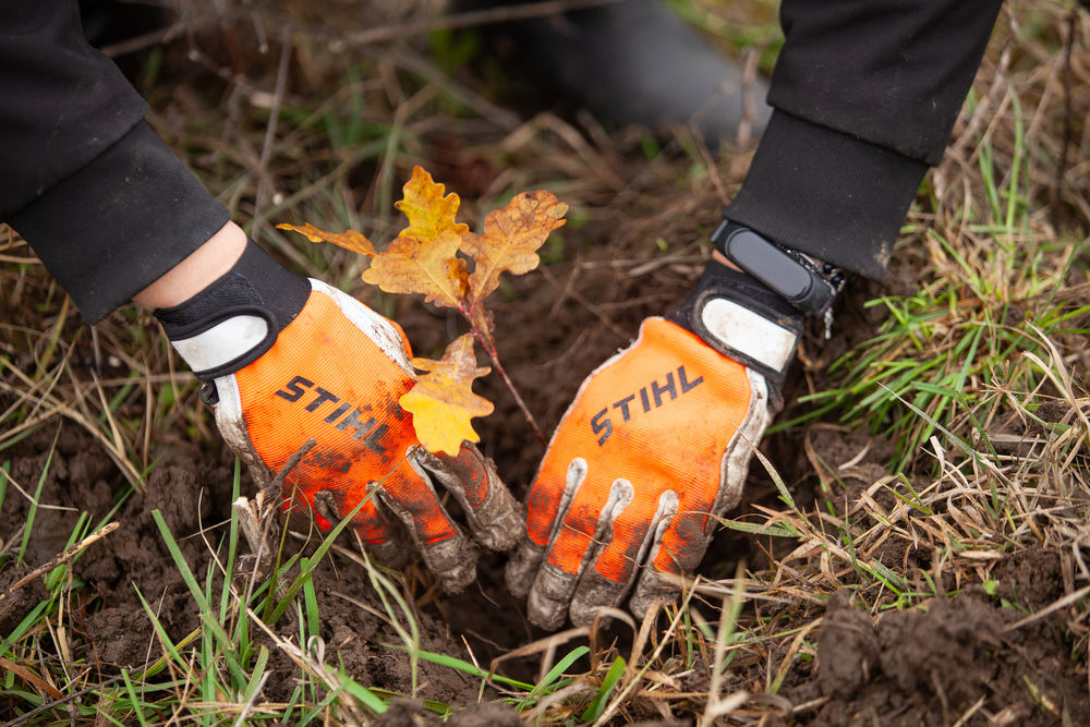 STIHL România plantare