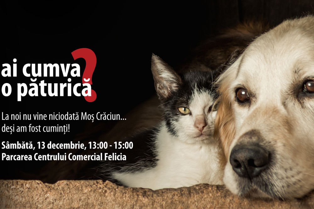 Ai cumva o păturică