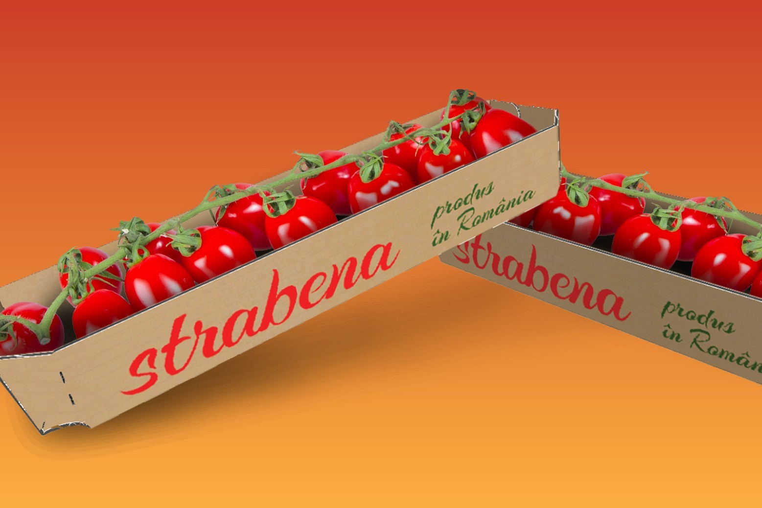 DS Smith&Serele SupeR