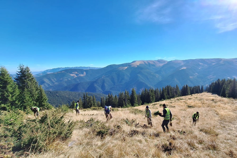 Fundatia Conservation Carpathia