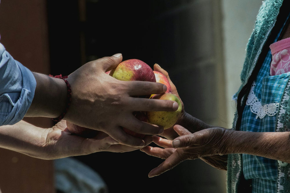 donatii colecta hrana alejandra-ezquerro-tYdgOQk72iA-unsplash