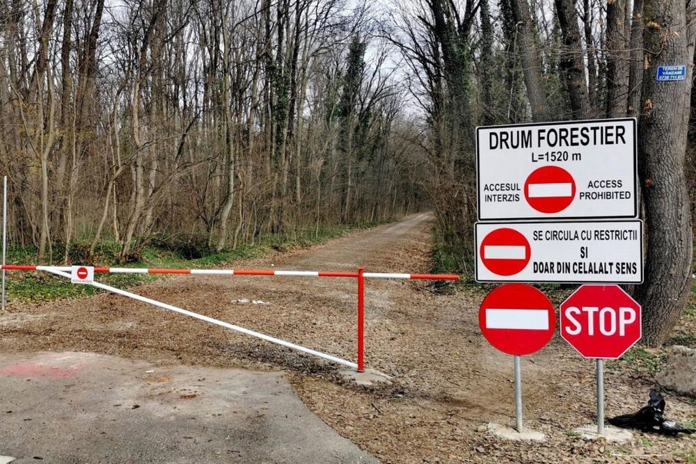 Padure-Baneasa-pericol-drum-forestier-deschis-circulatie-auto-1