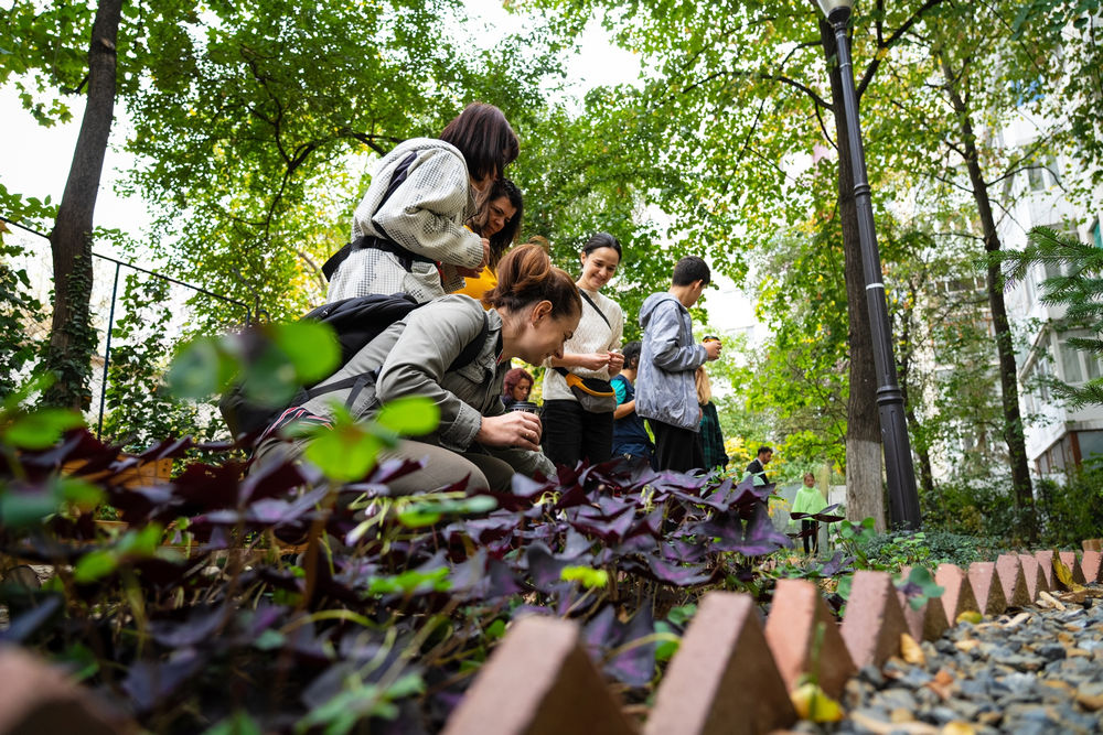 Roots-Platforma de mediu pentru București