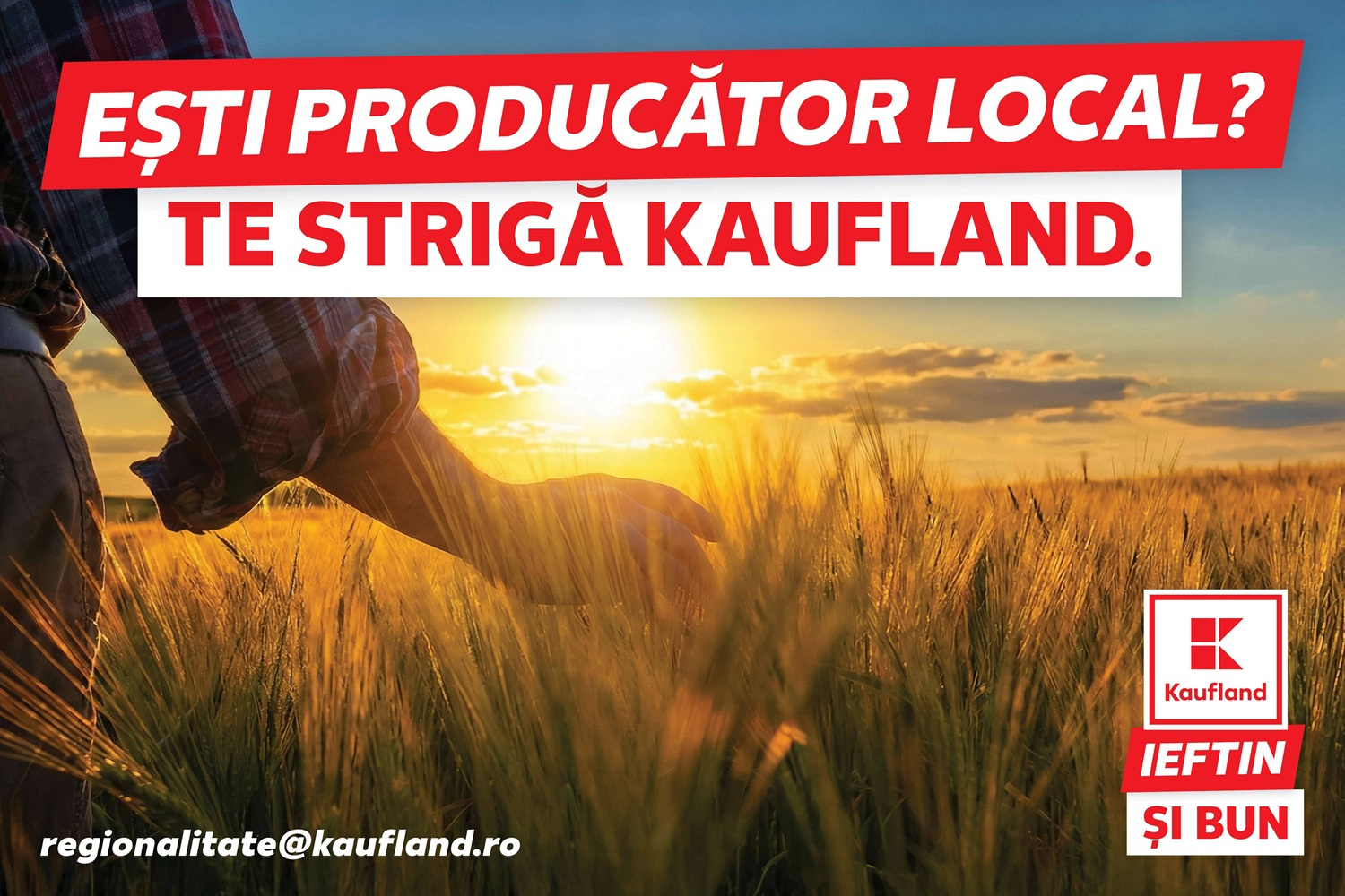 Te Strigă Kaufland