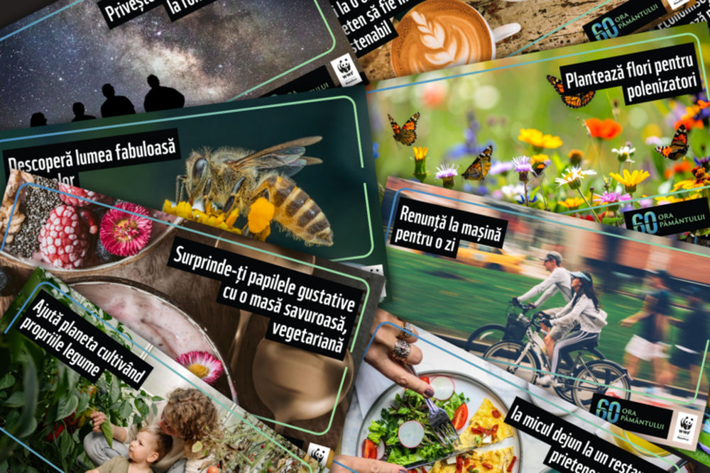 WWF ora pamantului 2026