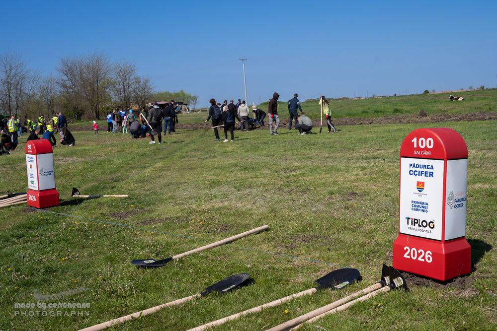 CCIFER 45.000 salcâmi 2026