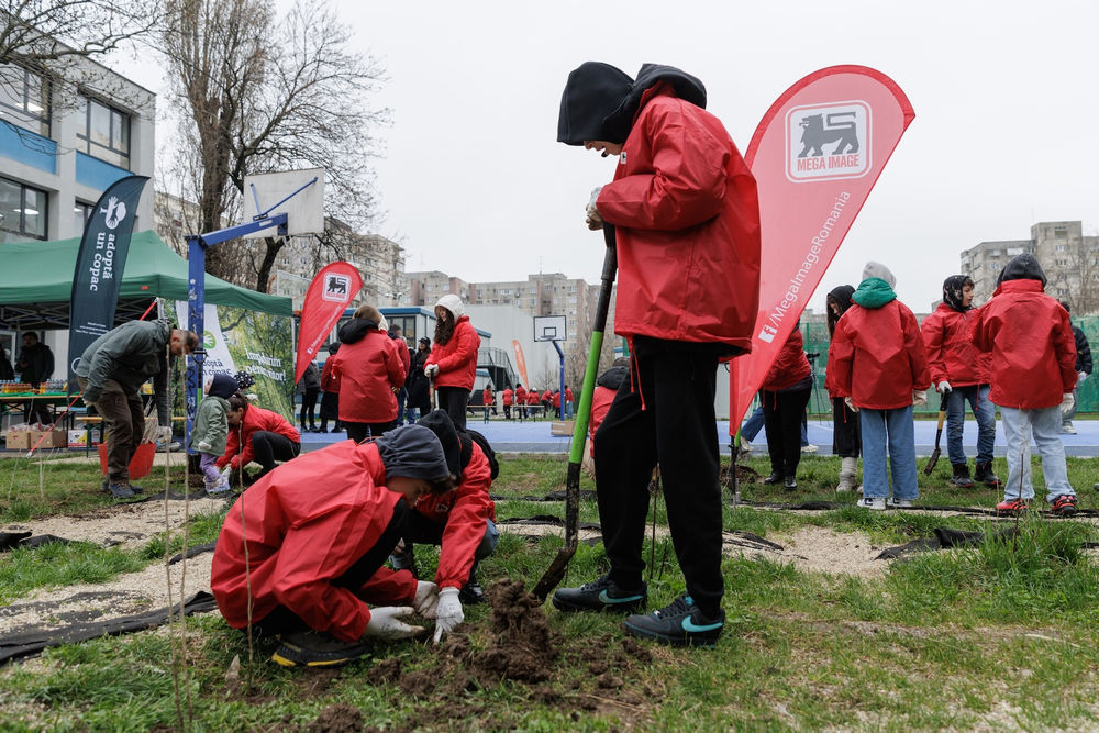 Mega Image Plantare 2026 Bucuresti si Ilfov