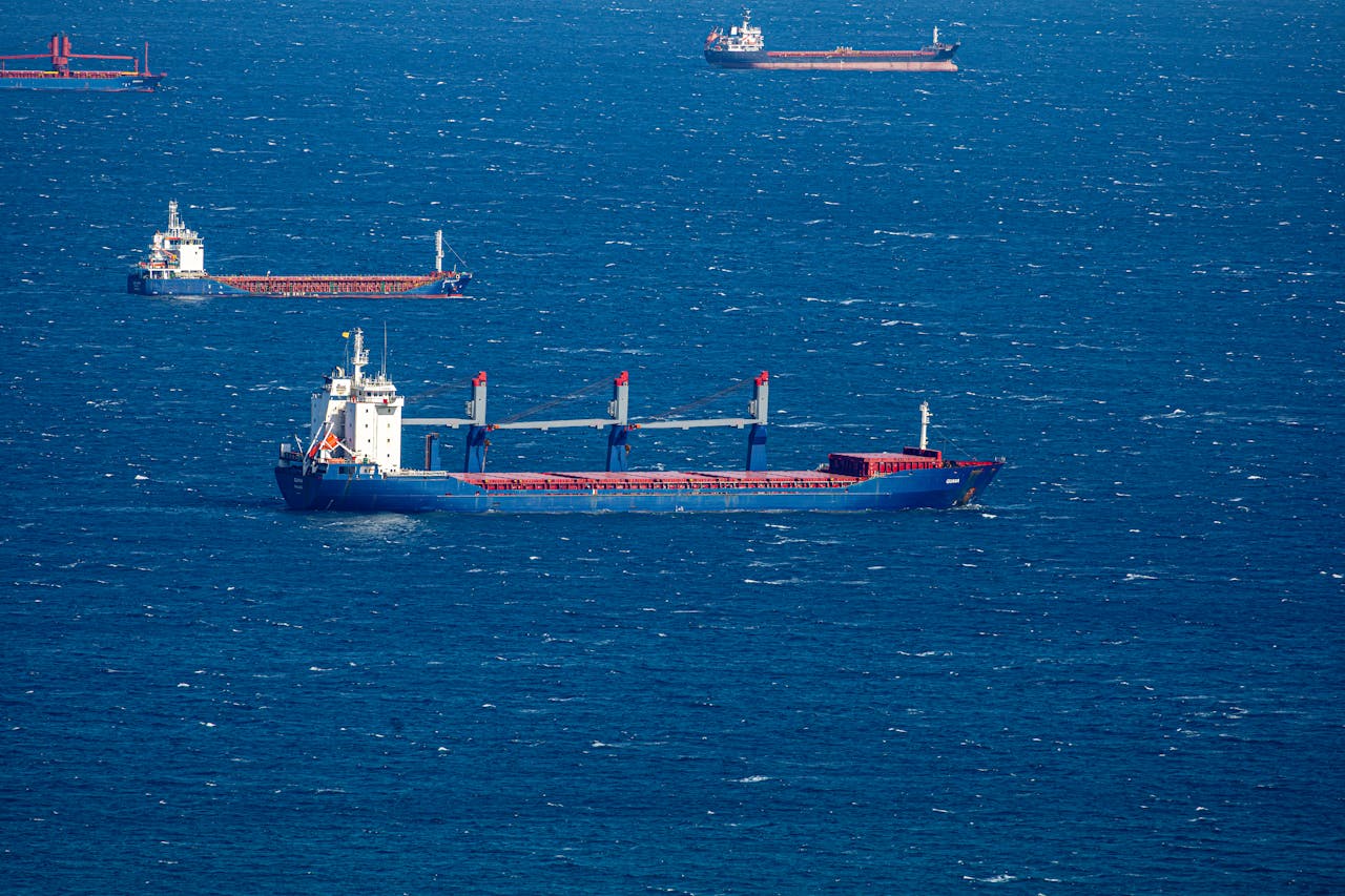 Foto: Pexels-regan-dsouza-1315522347-36112907