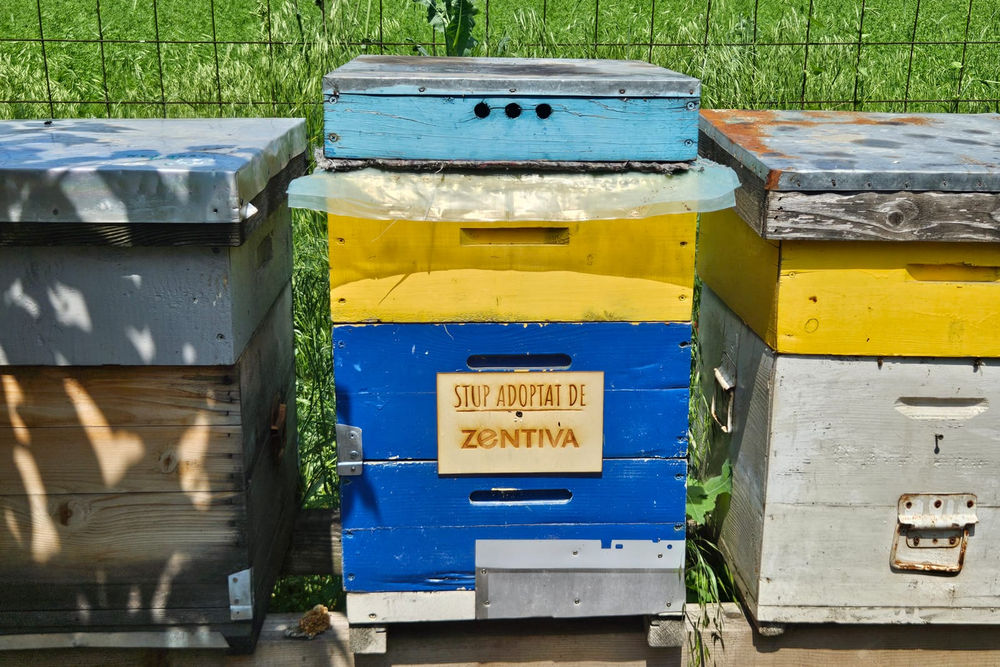 Zentiva România Adopt a Beehive Pollenity 2026