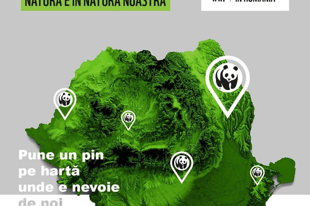 Harta mediu