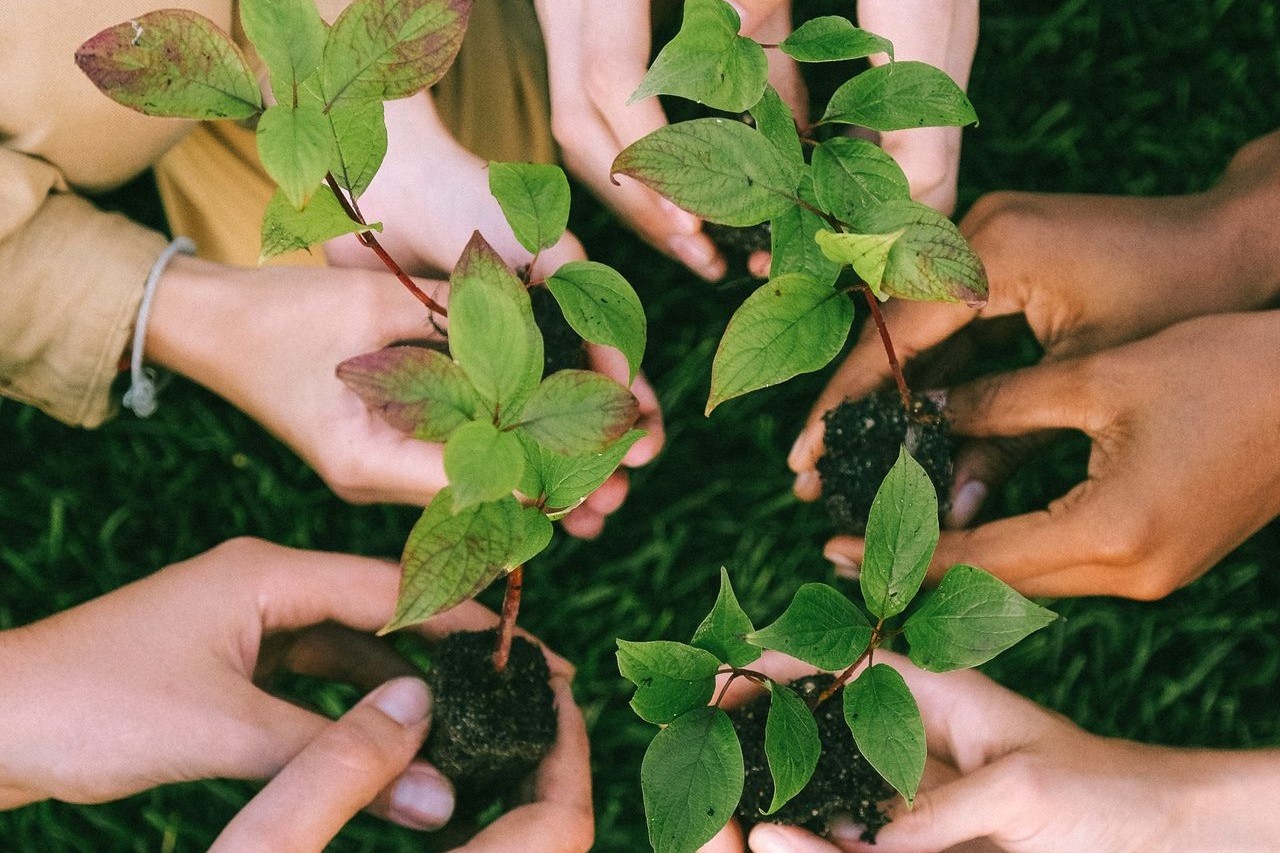 Foto: Pexels-shvetsa-5029853
