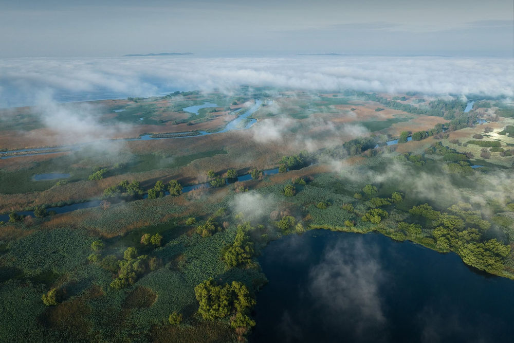 Delta Salbatica documentar Delta Dunarii