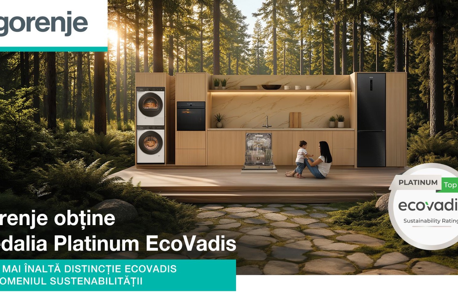 Gorenje EcoVadis
