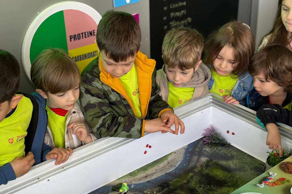 Caravana_Akademia Kinderland_Kaufland